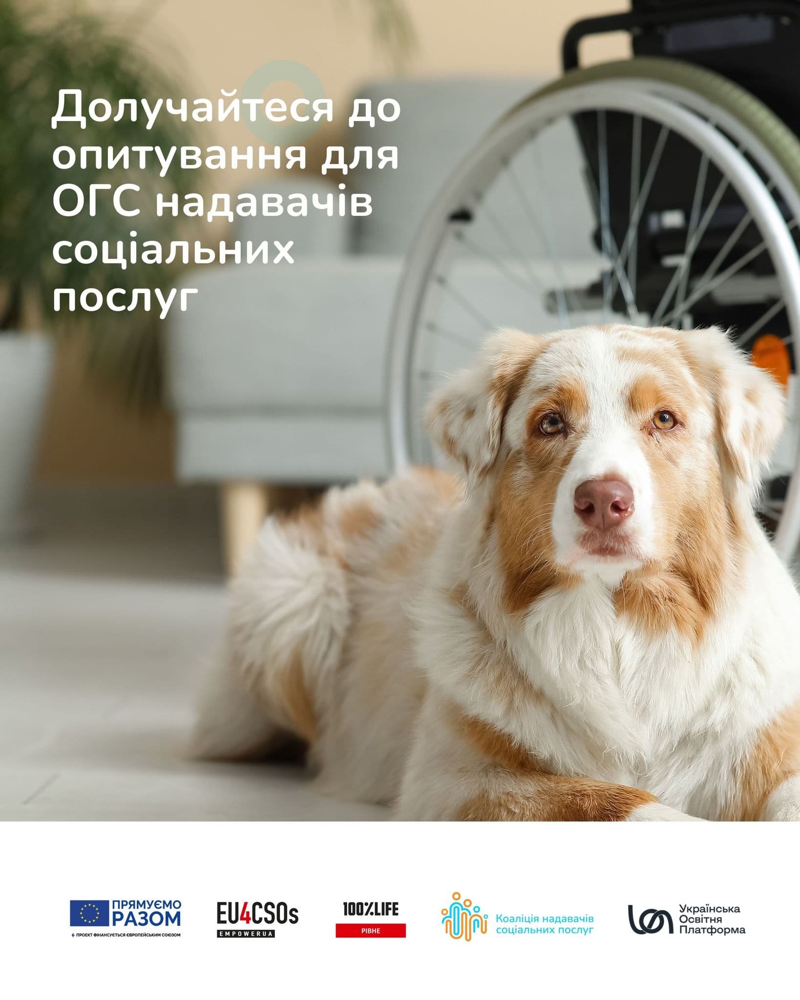 БО «Українська освітня платформа» спільно з Коаліцією надавачів соціальних послуг проводить опитування серед…